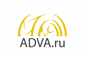 Интернет-магазин AVDA.ru