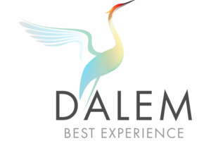 Студия DALEM