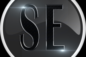 Логотип SE
