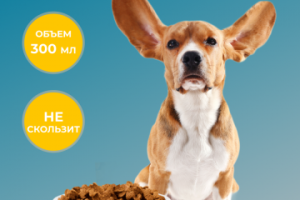 Оформление карточек товара для маркетплейса