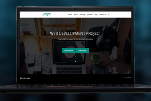 Web Development