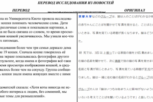 Исследование про кошек NHK перевод.