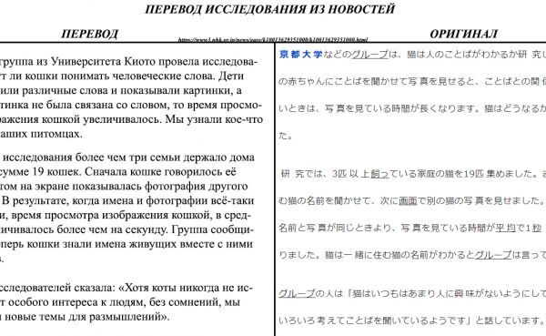img4288371.png