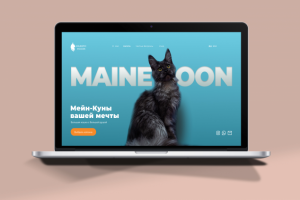 mainecoon