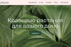 Сайт для онлайн-сервиса продажи комнатных растений