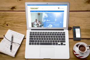 Разработка интернет-магазина для препаратов Todicamp