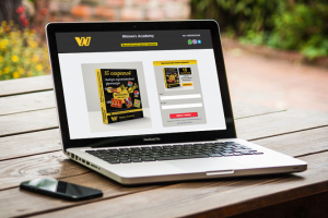 Разработка продающего сайта на конструкторе