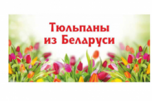 уличные баннеры