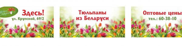 img3591394.png