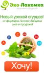 img2692183.png
