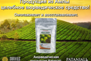 Работа 2418596