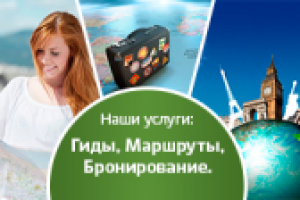 Работа 2217091