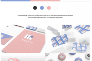 Кейс брендирования S.O.F.T.