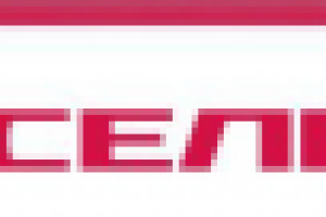 джингл для госкорпорации