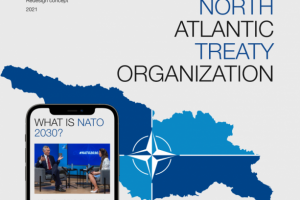 NATO — Website Redesign Concept