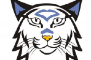 Разработка эмблемы для хоккейного клуба.