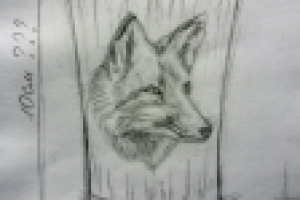 Работа 3027356