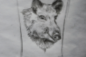 Работа 3027352