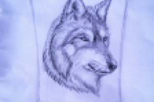 Работа 3027340