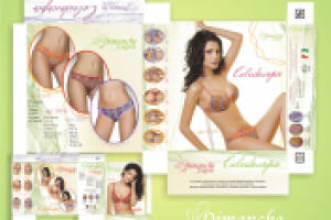 Коробки на все виды нижнего белья Dimanshe