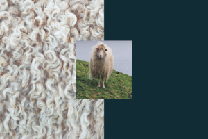 Авторский тур на Фарерские острова