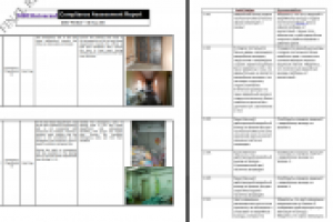 Перевод аудиторской проверки ENG-RUS