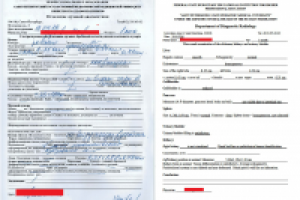 Справка УЗИ RUS-ENG