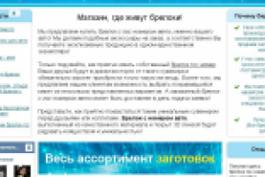Тексты для сайта, продающего персональные брелки с гос.номерами