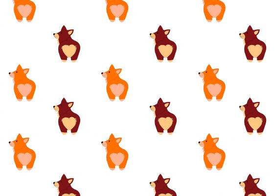 img3817261.png