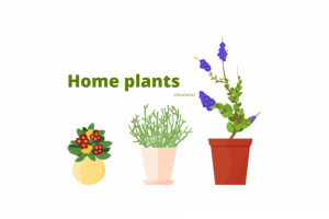Спрайты для игры симулятора Home plants