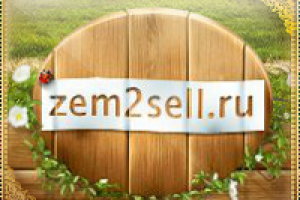 Шапка сайта + анимация