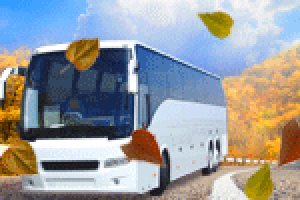 Осенние туры