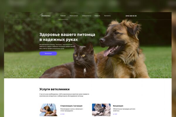img4206123.png