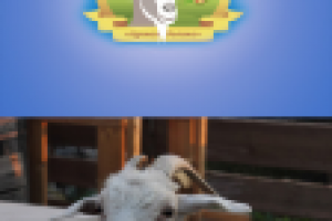 Логотип для крестьянского хозяйства