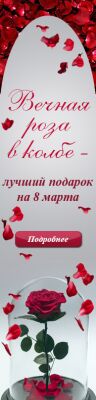 img3619457.png