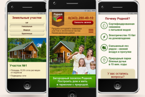 Дизайн мобильного приложения Родной