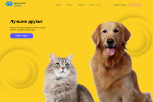 Сделано для показа навыков