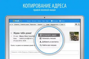29 ссылок в системе Ответы mail. Ru