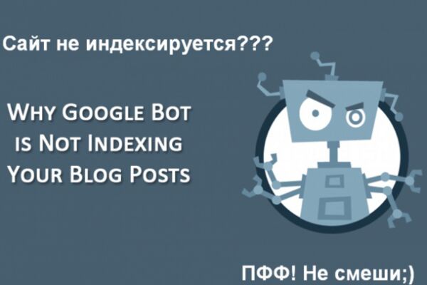 img3188577.png