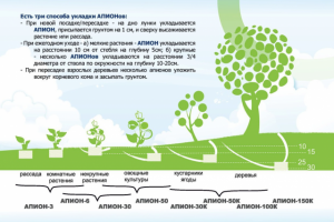 Оборотная торона листовки Апион