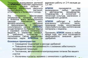 Листовка Апион