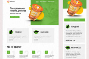 Кэт энерджи