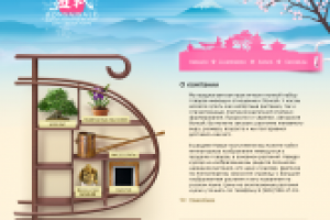 ТЗ Bonsai Sale  + Руководство пользователя