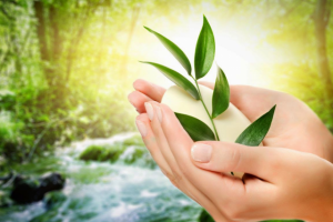 Лендинг для магазина натуральной косметики