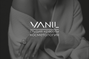 Лого Vanil