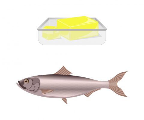 img3213078.png