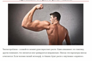 Упражнения на бицепс в тренажерном зале