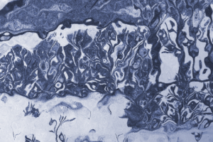 Работа 4069532