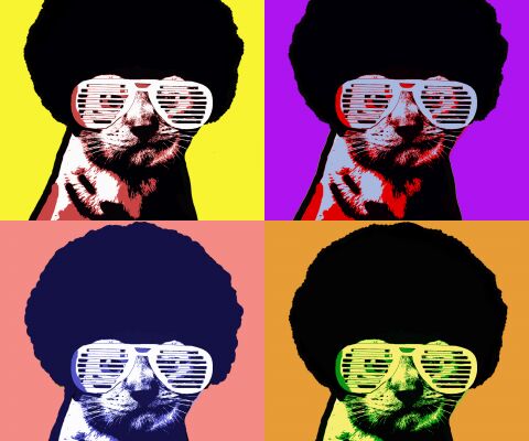 img3472076.png