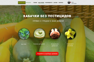 Работа 3511601